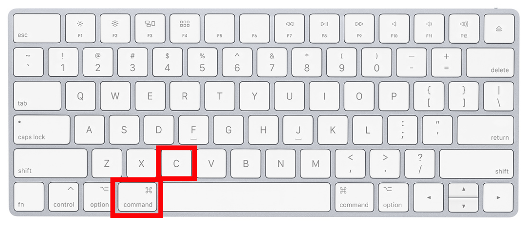 How to copy and paste on a Mac