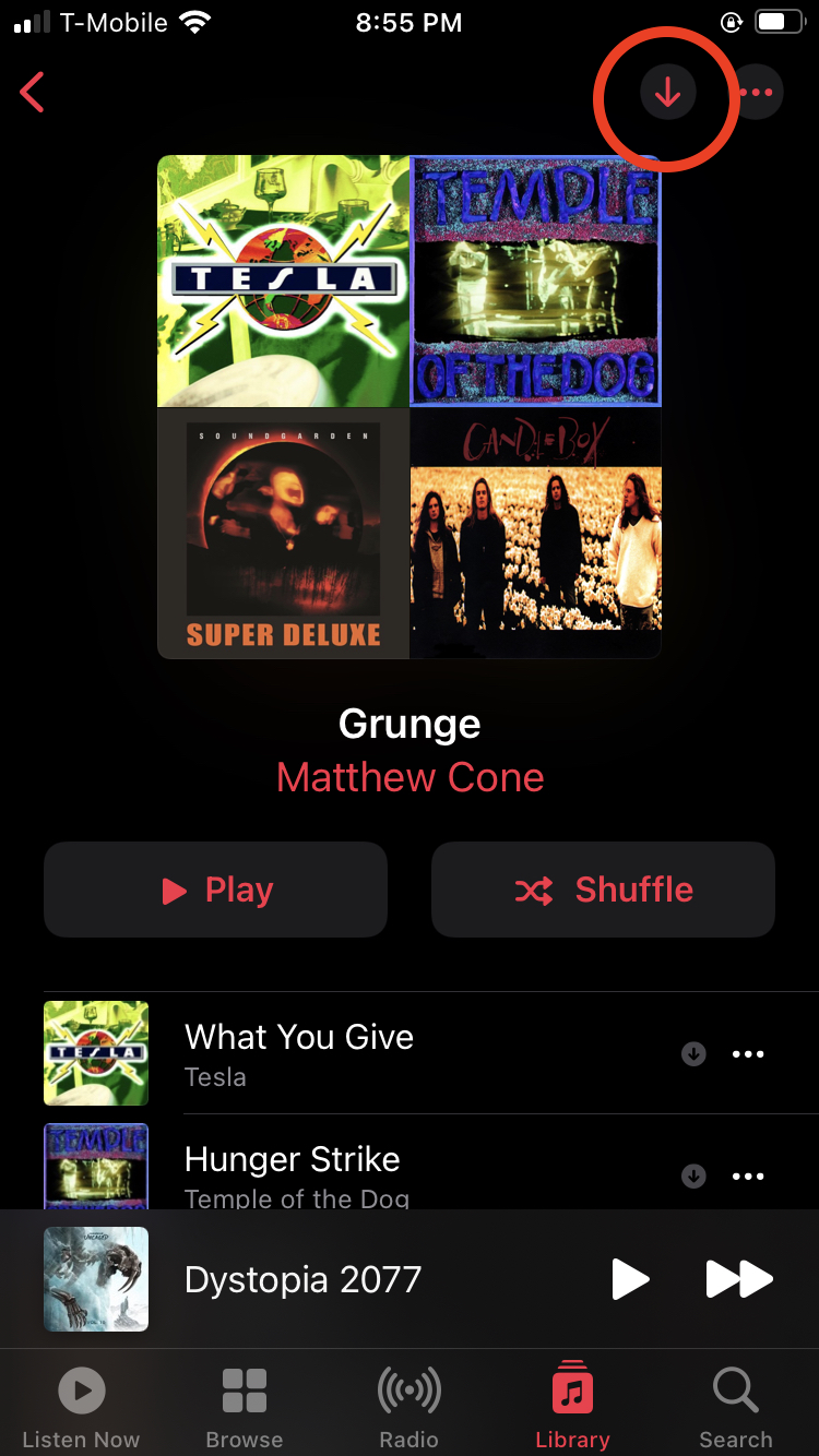 Download music to iPhone