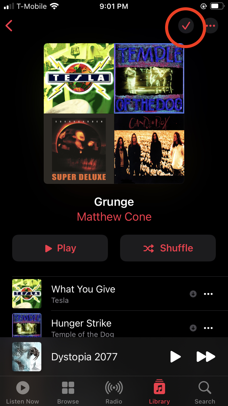 Downloaded music on iPhone