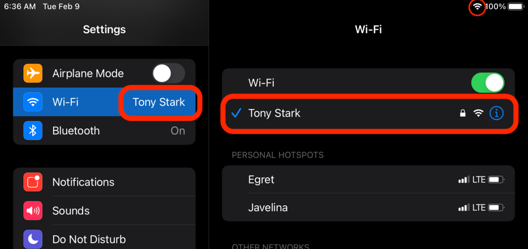 iPad wifi indicator icon
