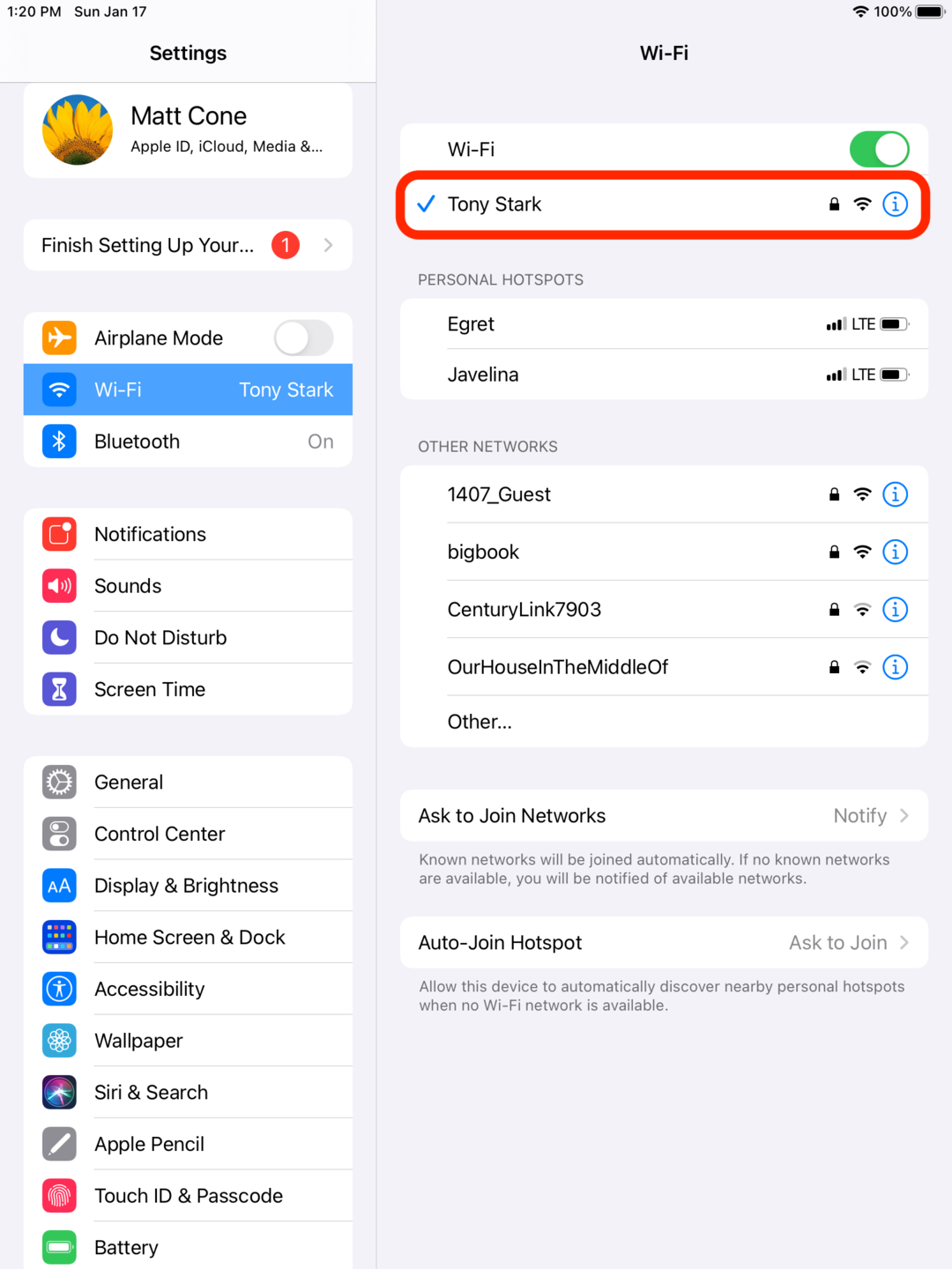 iPad IP address
