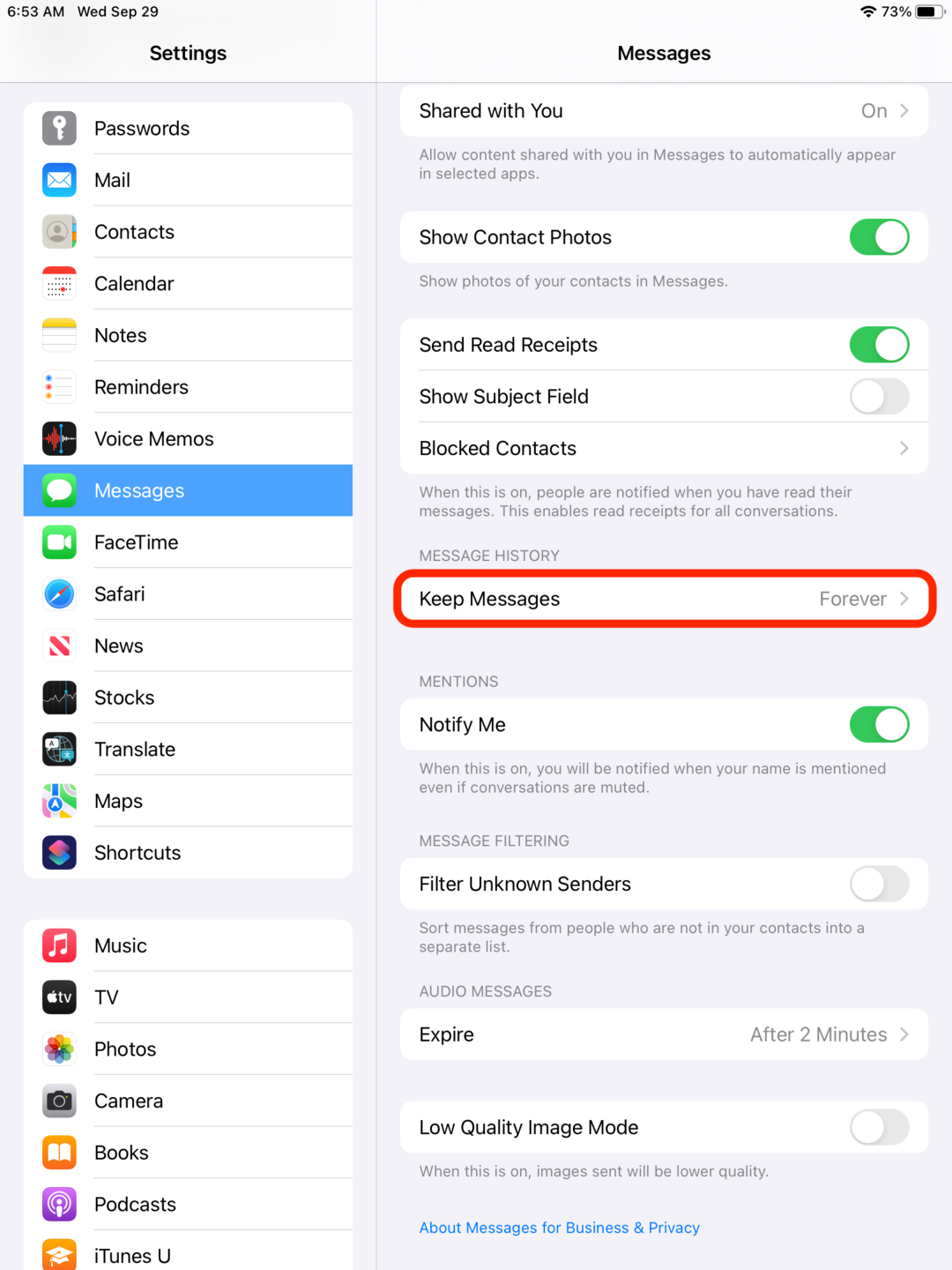 Set iPad to automatically delete old text messages