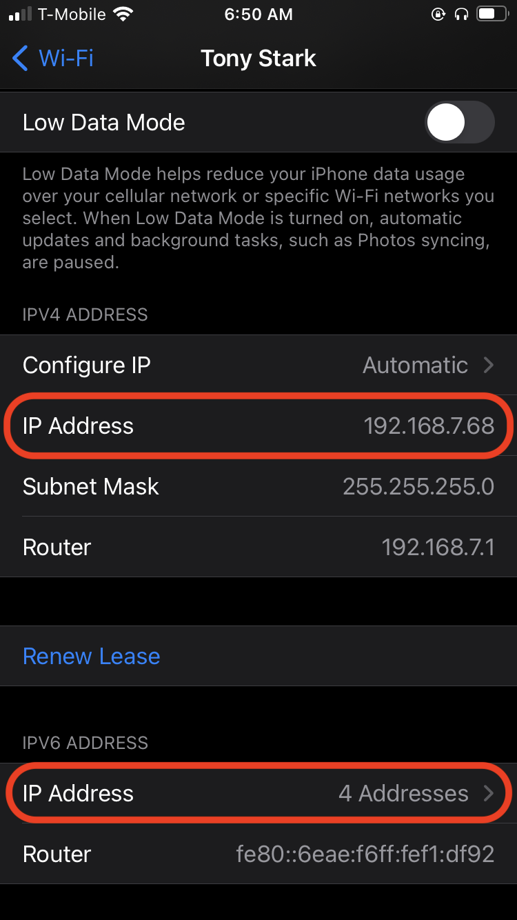 iPhone IP address settings