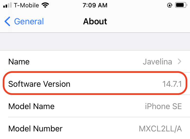 Check which version of iOS your iPhone is using