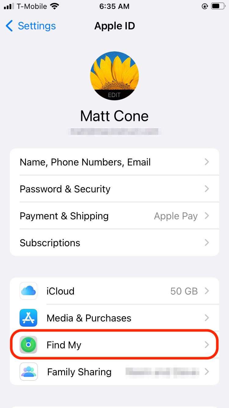 Enable Find My iPhone on your iPhone