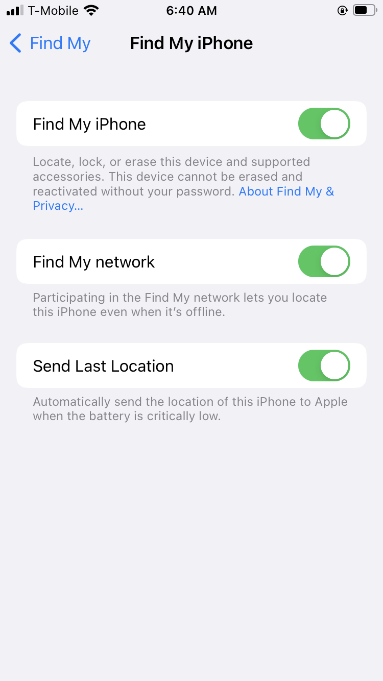 Enable Find My iPhone on your iPhone