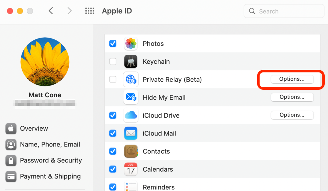 Enable Private Relay on your Mac